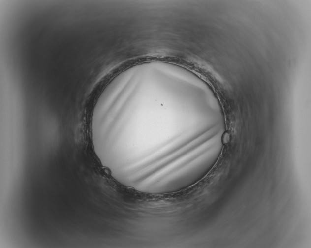 X0000101441256200807211204