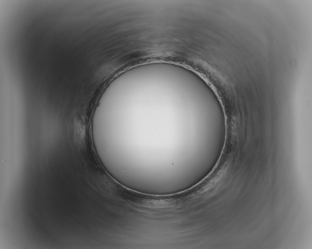 X0000101441257200807211204