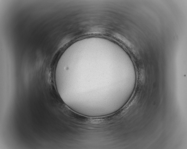 X0000101441258200807211204