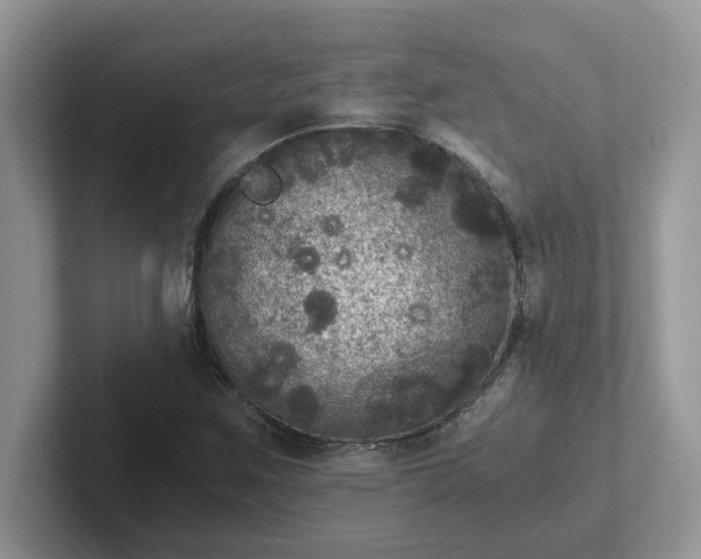 X0000101441259200807211204