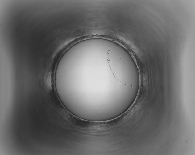 X0000101441262200807211204