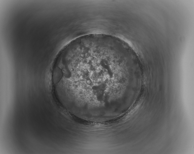 X0000101441263200807211204