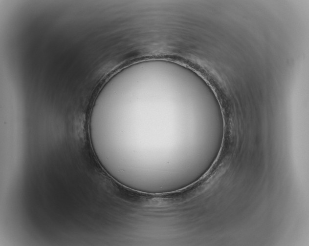 X0000101441265200807211204