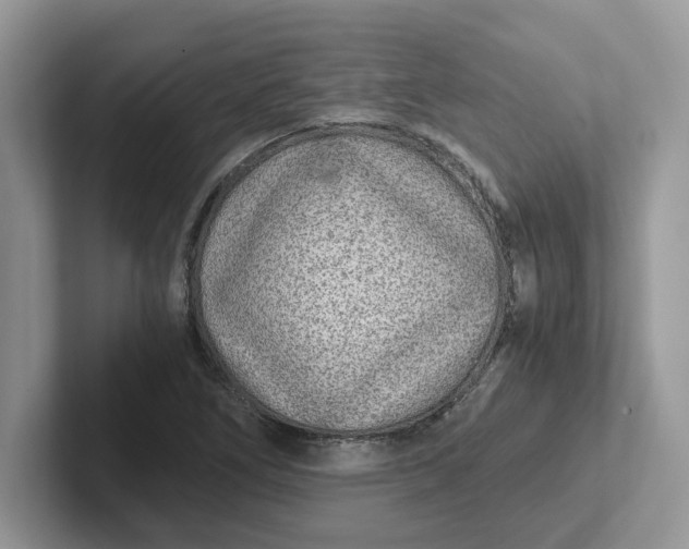 X0000101441266200807211204