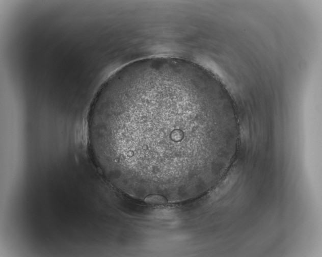 X0000101441267200807211204