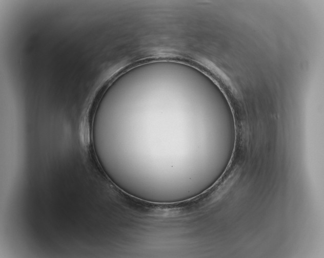 X0000101441269200807211204