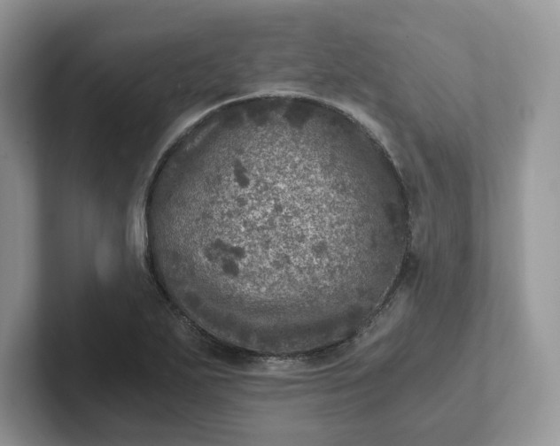 X0000101441271200807211204