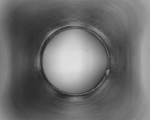 X0000101441272200807211204