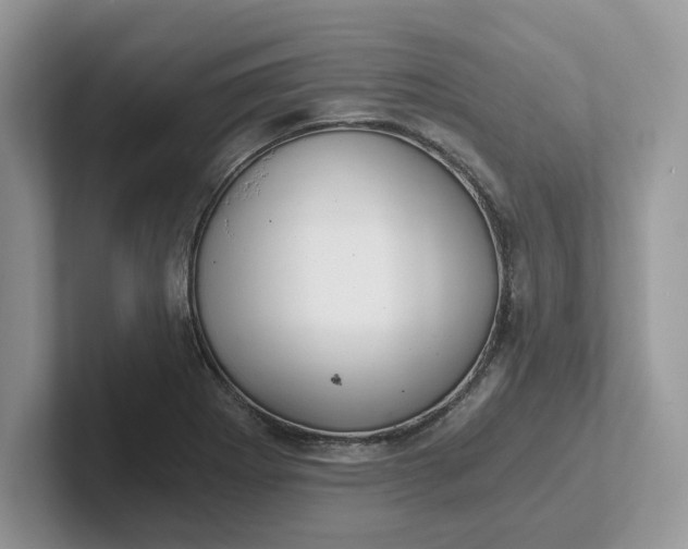 X0000101441273200807211204