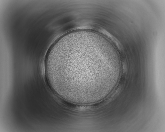 X0000101441274200807211204