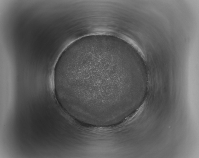 X0000101441275200807211204