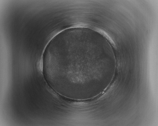 X0000101441276200807211204