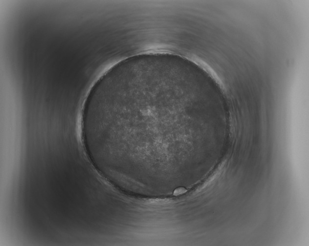 X0000101441277200807211204