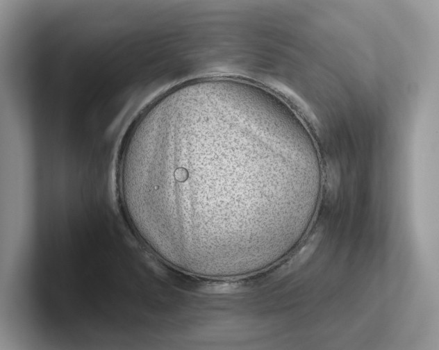 X0000101441278200807211204