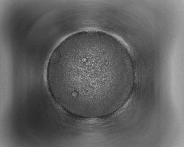 X0000101441279200807211204