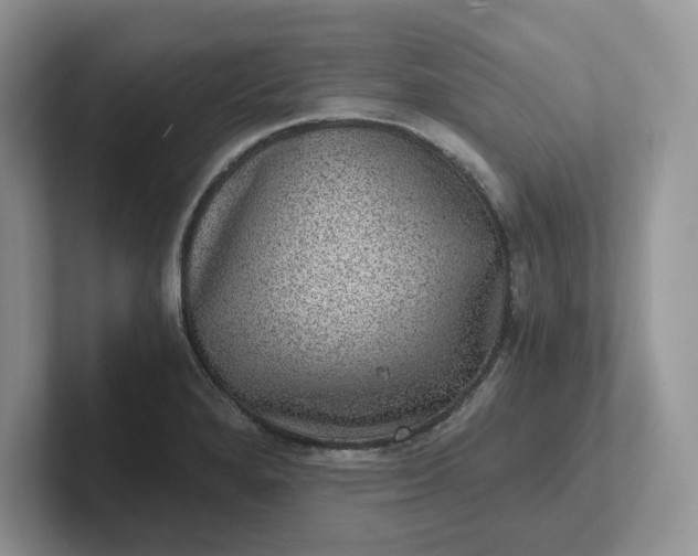 X0000101441280200807211204