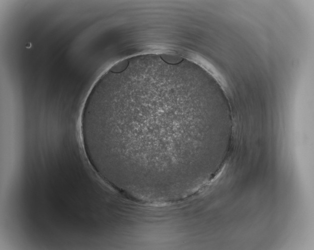 X0000101441283200807211204