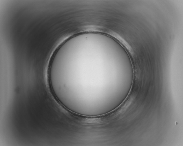 X0000101441285200807211204