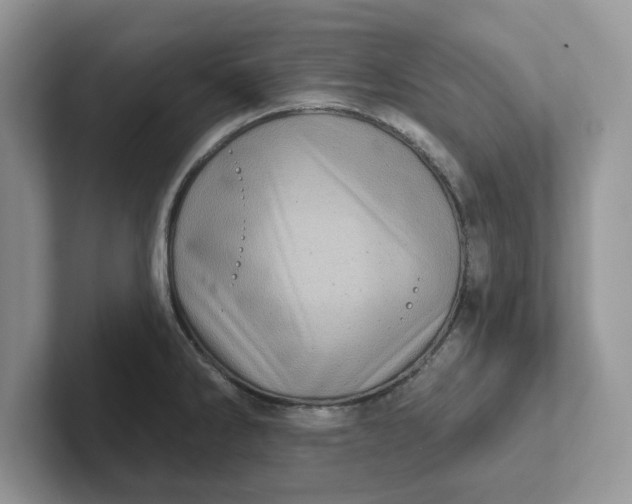 X0000101441286200807211204