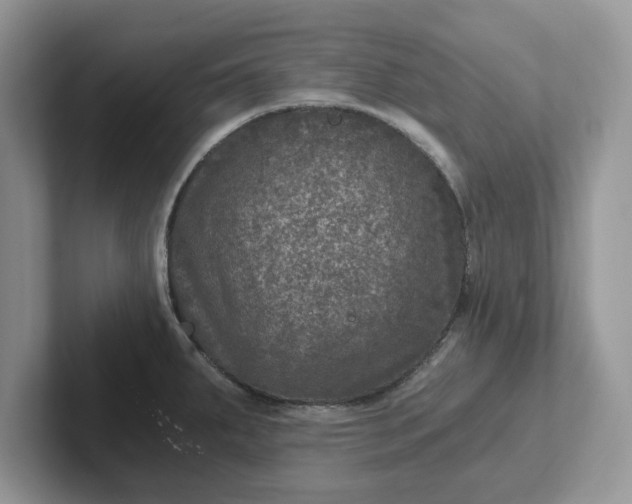 X0000101441287200807211204