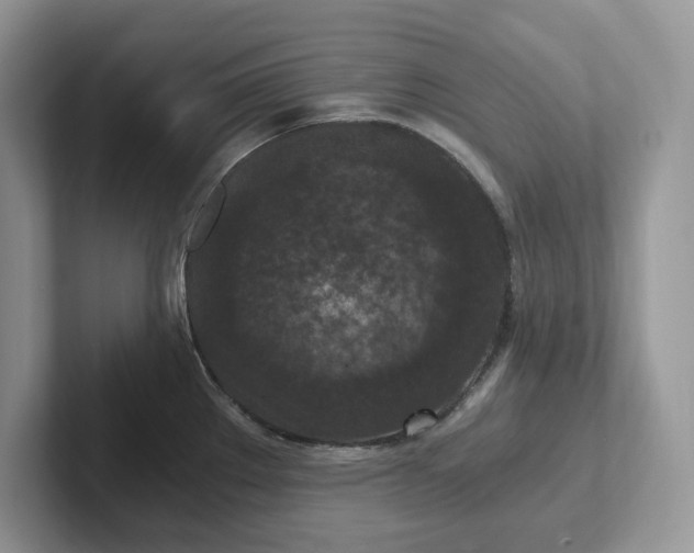 X0000101441289200807211204