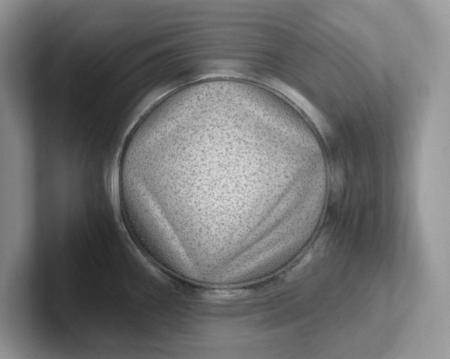 X0000101441290200807211204