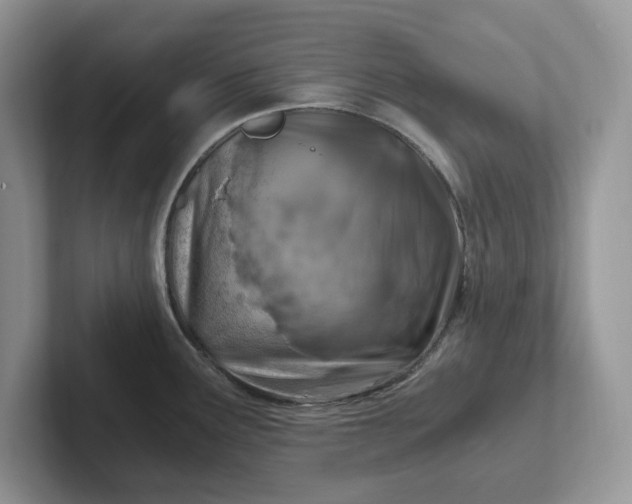 X0000101441291200807211204