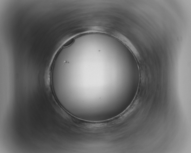 X0000101441292200807211204