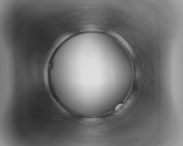 X0000101441293200807211204