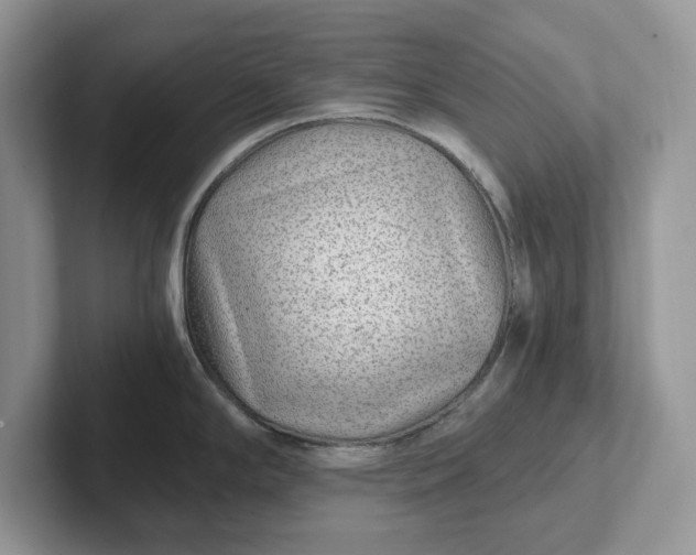 X0000101441294200807211204