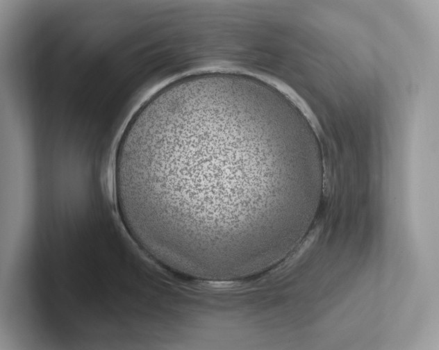 X0000101441295200807211204