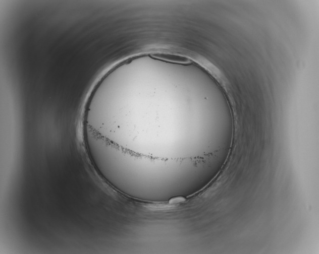 X0000101441296200807211204