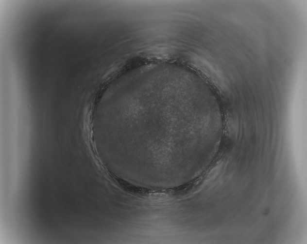 X0000101441297200807211203