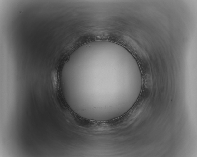 X0000101441298200807211203