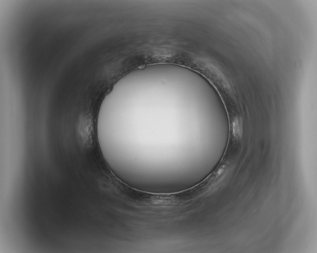 X0000101441299200807211203