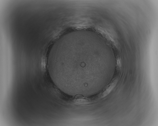 X0000101441300200807211203