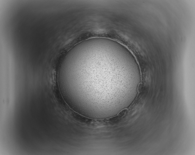 X0000101441301200807211203