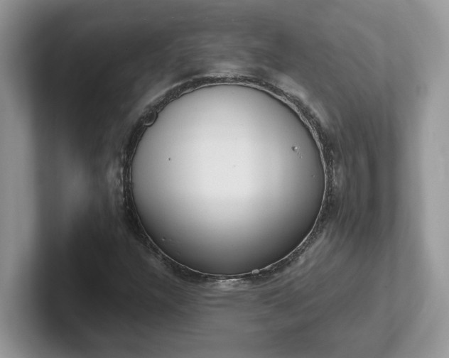 X0000101441304200807211203