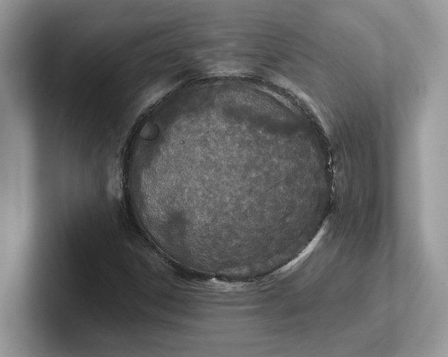 X0000101441306200807211203