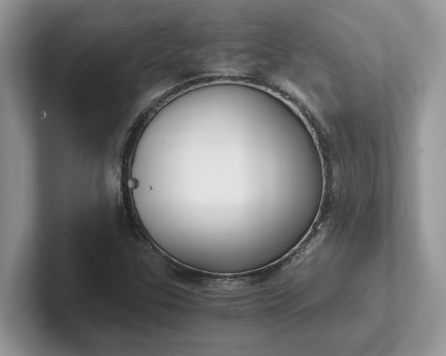 X0000101441307200807211203