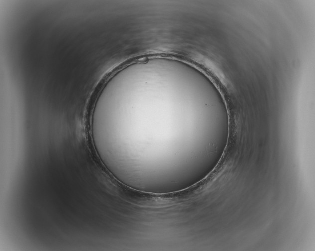 X0000101441308200807211203