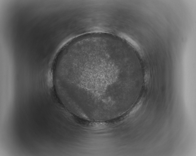 X0000101441310200807211203