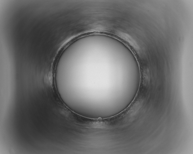 X0000101441316200807211203