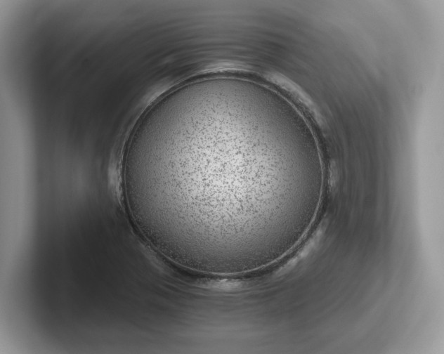 X0000101441321200807211203