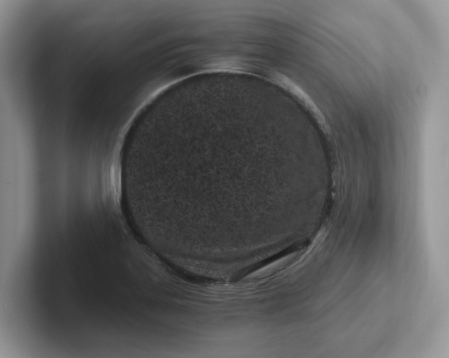 X0000101441323200807211203