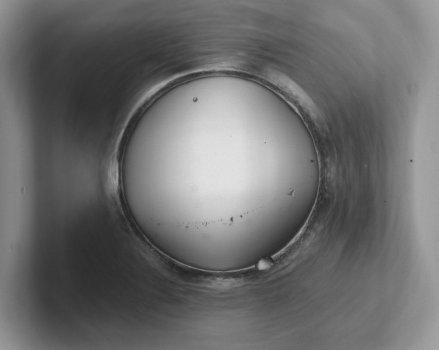 X0000101441324200807211203