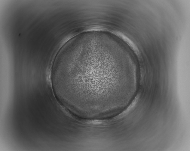 X0000101441329200807211203