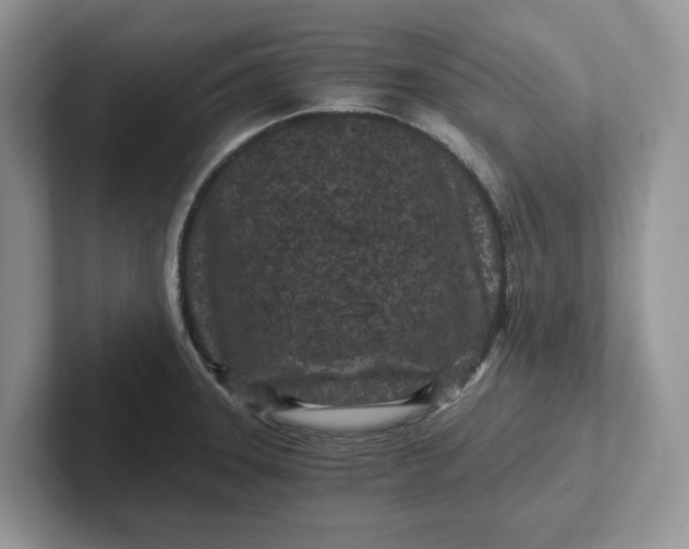 X0000101441331200807211203