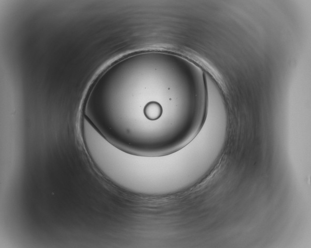 X0000101441332200807211203