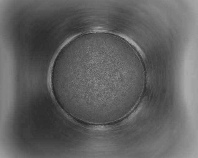 X0000101441333200807211203